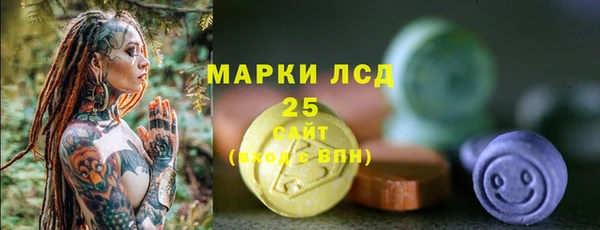шишки Балабаново