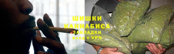 шишки Балабаново