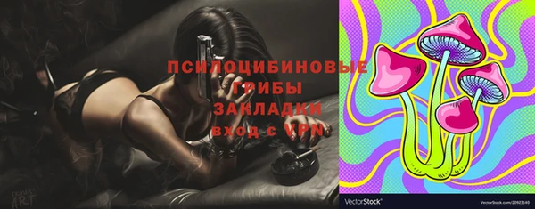 шишки Балабаново