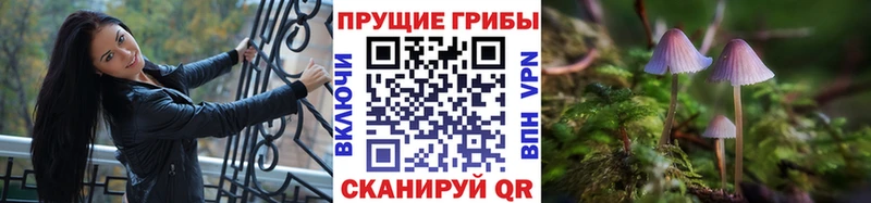 ссылка на мегу как зайти  как найти закладки  Мамадыш  Псилоцибиновые грибы прущие грибы 