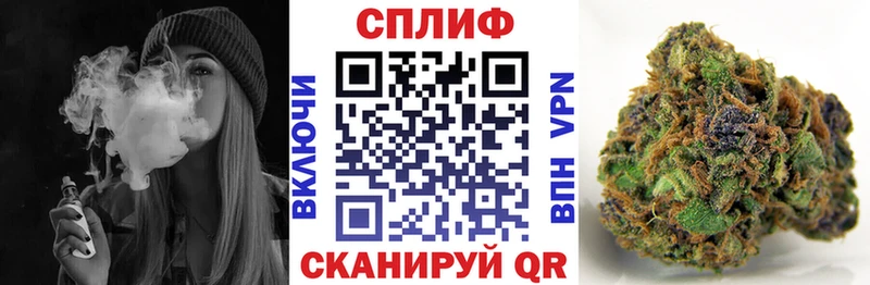 Канабис тримм  OMG рабочий сайт  Мамадыш  хочу наркоту 